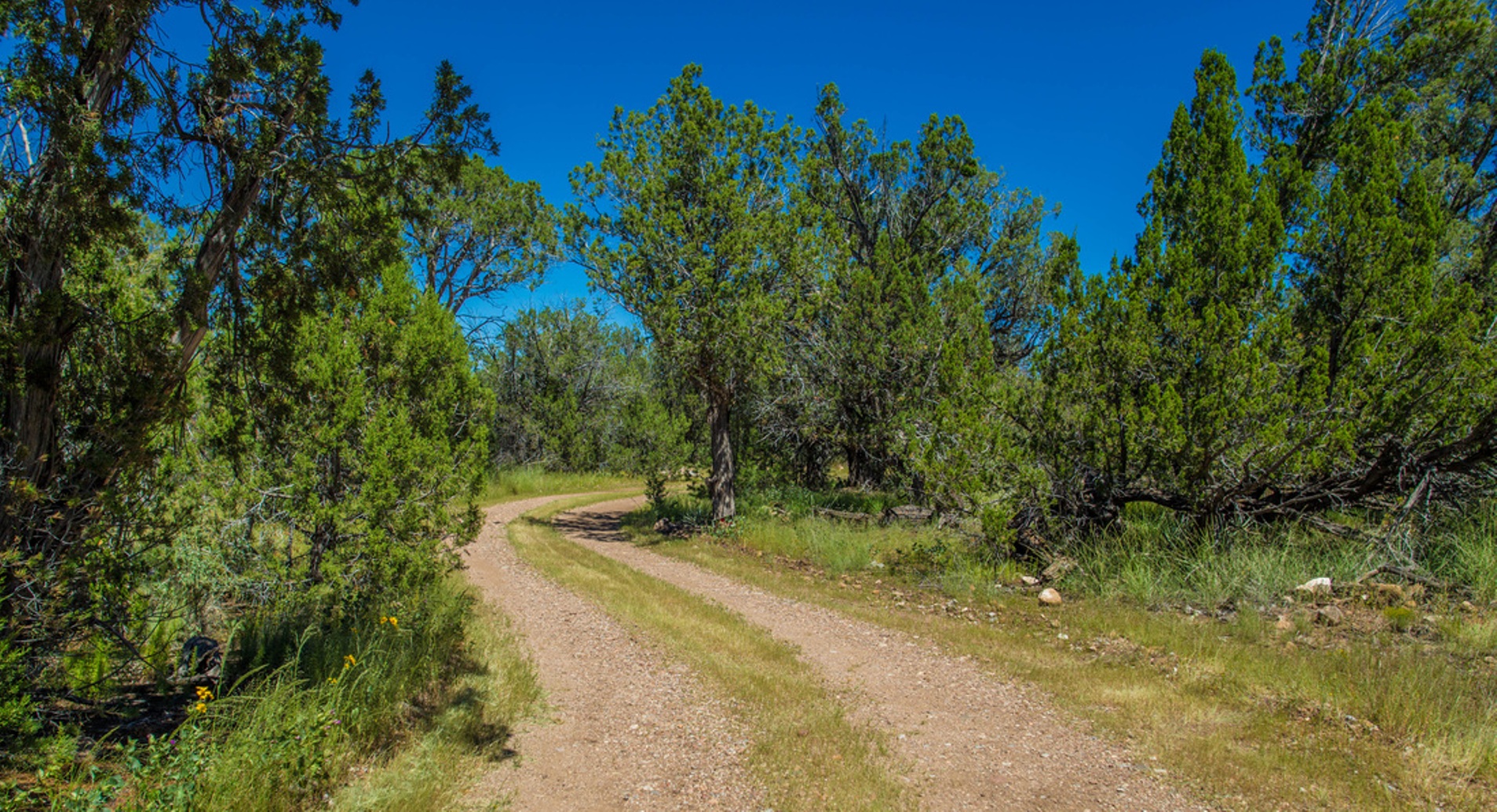 Lots in Juniper Mountain Ranches SeligmanAZ.us