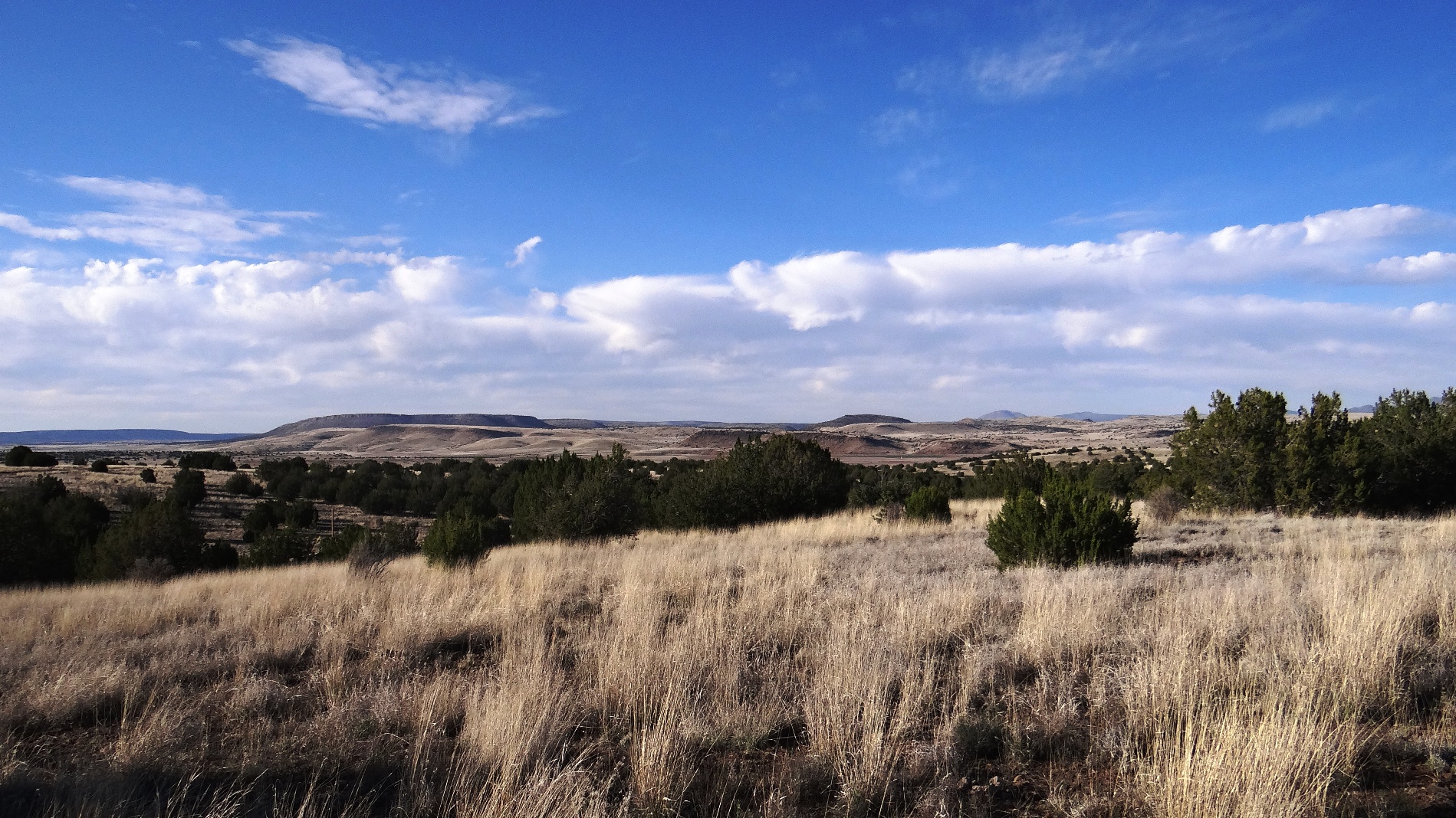 38 acres of Rolling Terrain, Good Water Area SeligmanAZ.us